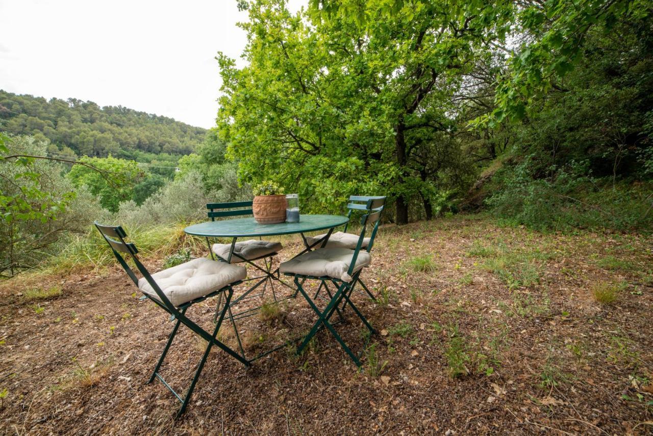 L'Olivier Fleurie Barjols Vila Exterior foto