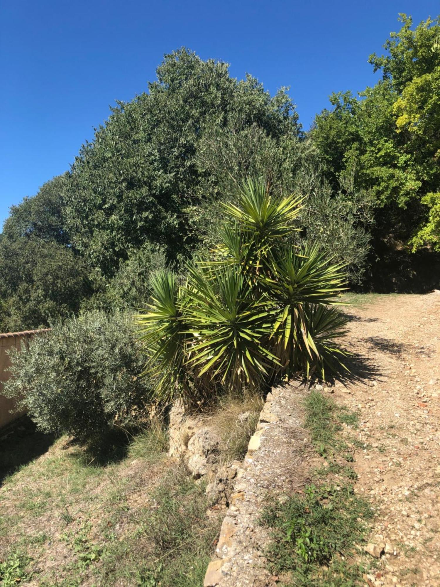 L'Olivier Fleurie Barjols Vila Exterior foto