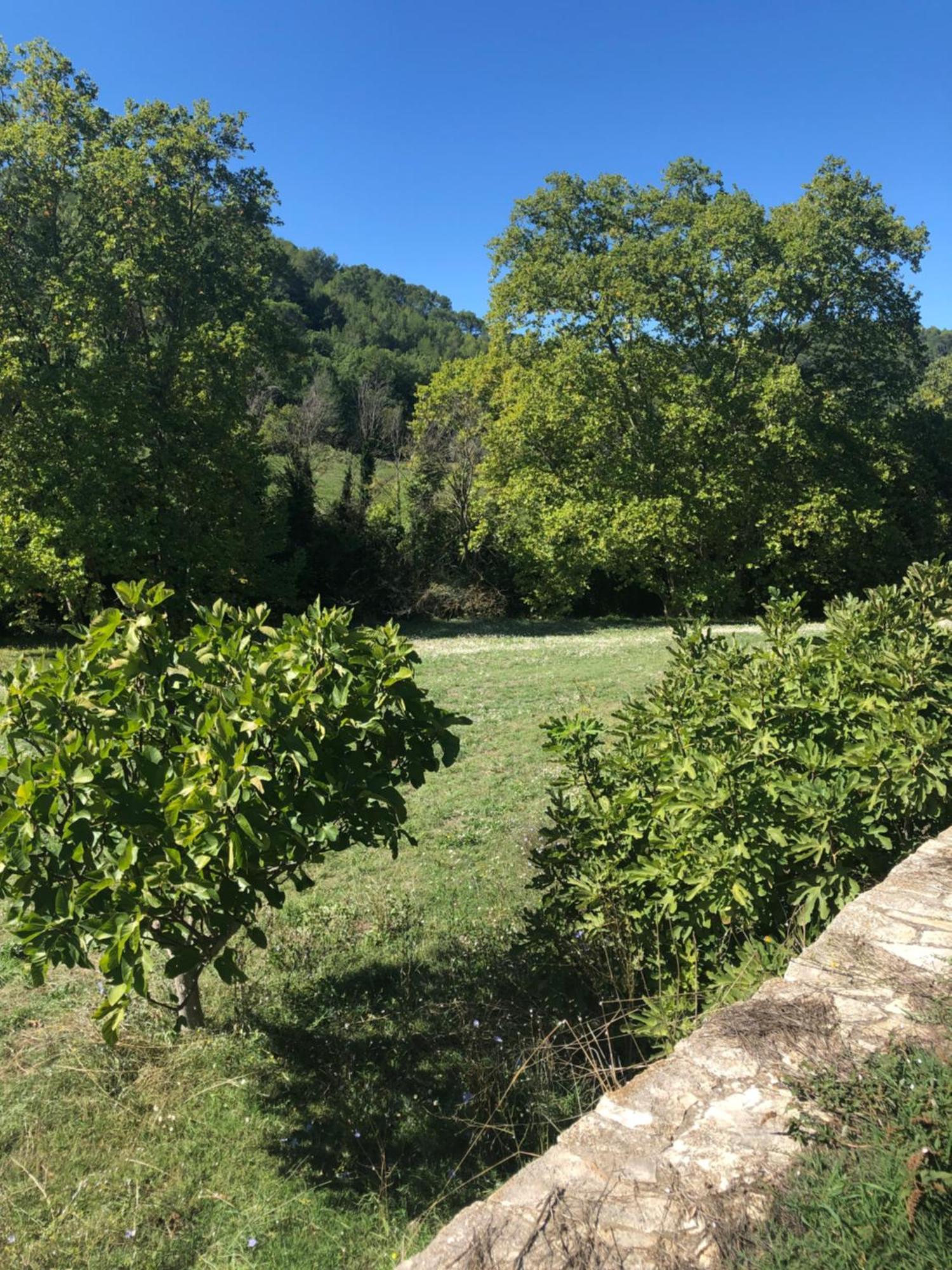 L'Olivier Fleurie Barjols Vila Exterior foto