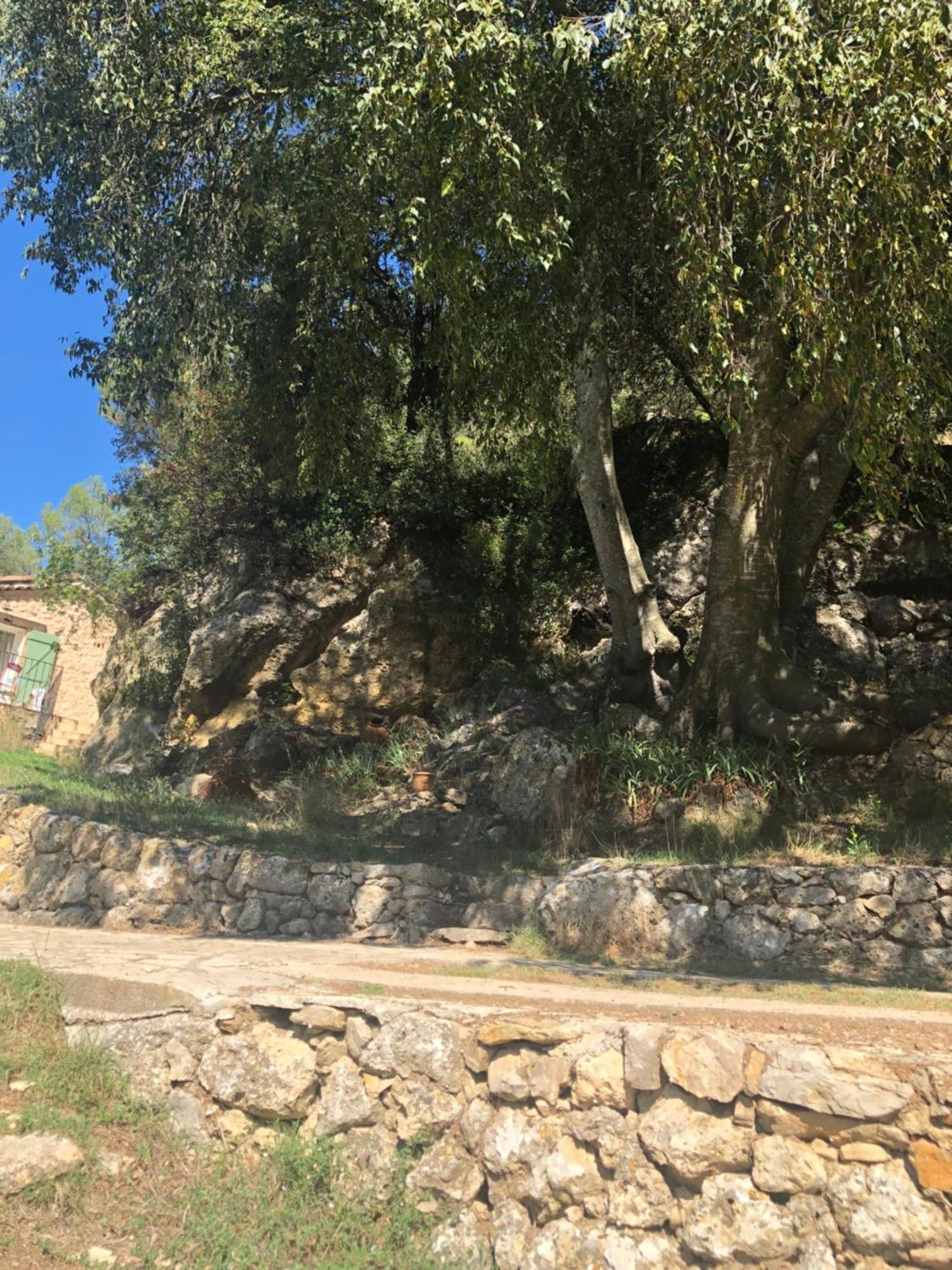 L'Olivier Fleurie Barjols Vila Exterior foto